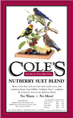 Cole's NB20 Nutberry Suet Blend Birdseed, 20-Pound